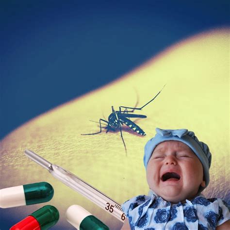 west nile fever in india